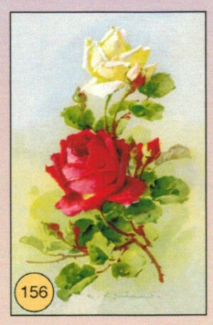 CRT FIORI-FRUTTA-156