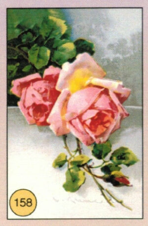 CRT FIORI-FRUTTA-158