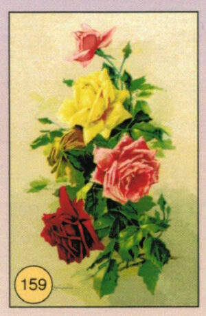 CRT FIORI-FRUTTA-159