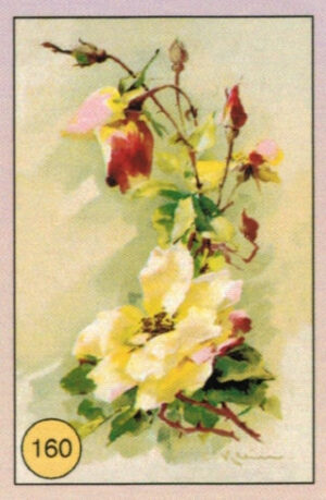CRT FIORI-FRUTTA-160