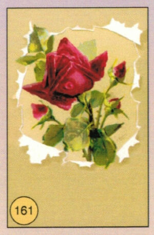 CRT FIORI-FRUTTA-161