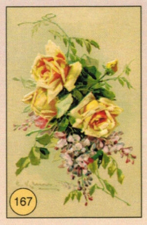 CRT FIORI-FRUTTA-167