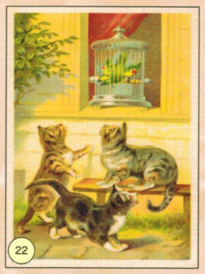CRT GATTI-22
