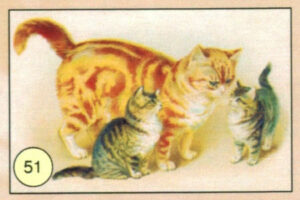 CRT GATTI-51