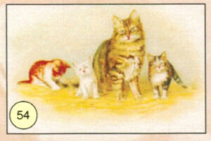 CRT GATTI-54