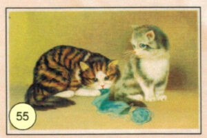 CRT GATTI-55