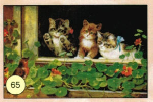 CRT GATTI-65