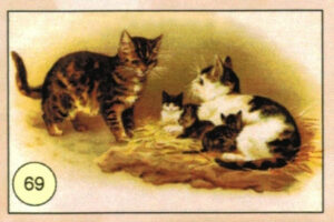 CRT GATTI-69