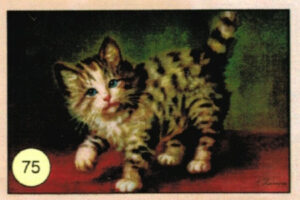 CRT GATTI-75