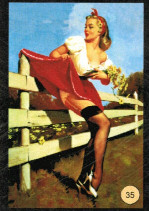 CRT PINUP-35