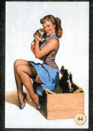CRT PINUP-44