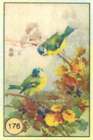 CRT UCCELLI-176