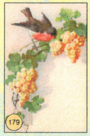 CRT UCCELLI-179