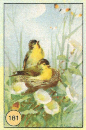 CRT UCCELLI-181