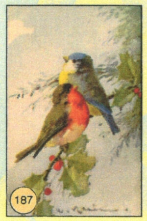 CRT UCCELLI-187