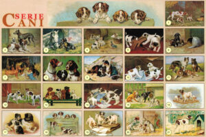 CRT CANI Assortimento