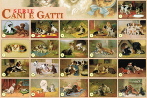 CRT CANI GATTI Assortimento