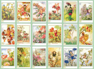 CRT FATINE FIORI Assortimento